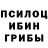 Псилоцибиновые грибы прущие грибы Yuri Fridman
