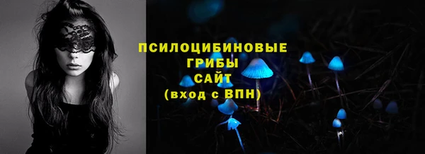 МДПВ Армянск