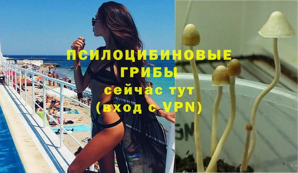 МДПВ Армянск
