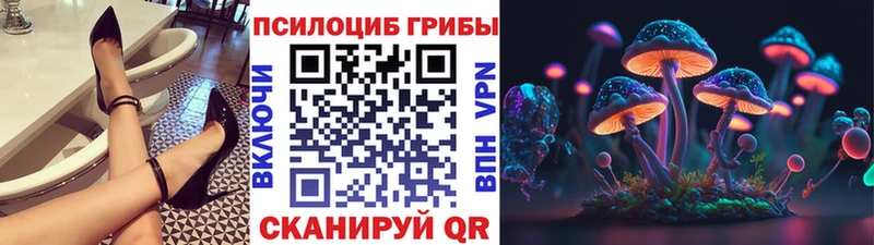 купить закладку  Пущино  маркетплейс телеграм  Псилоцибиновые грибы Psilocybine cubensis 