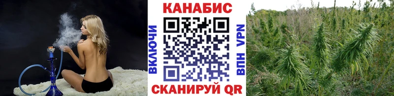 наркошоп  Пущино  Бошки Шишки White Widow 